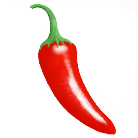 Spice Logo